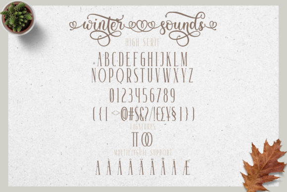 Winter Sounds Font Poster 9