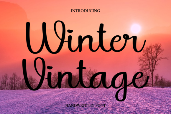 Winter Vintage Font Poster 1