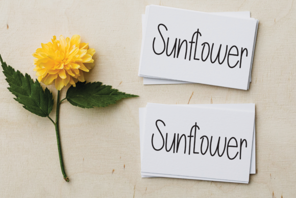 Wonderful Handmade Font Poster 2