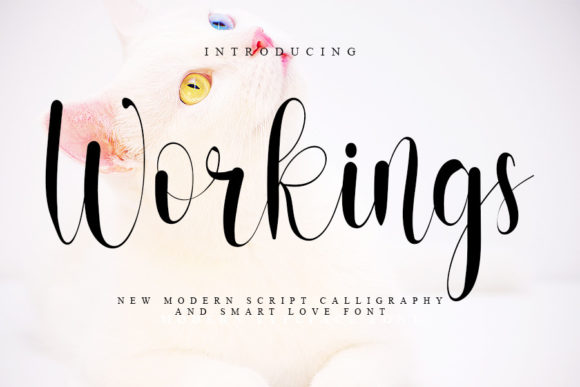 Workings Font Poster 1