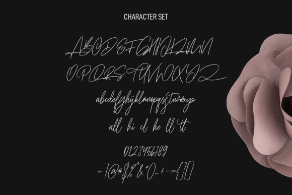 Zapatos Font Poster 8