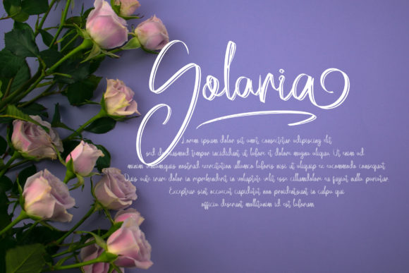 Acallypha Font Poster 4