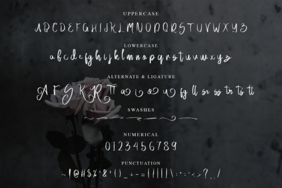 Acallypha Font Poster 8