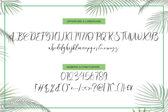 Adolide Font Poster 6