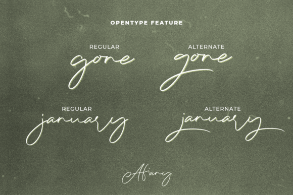 Afiany Font Poster 7