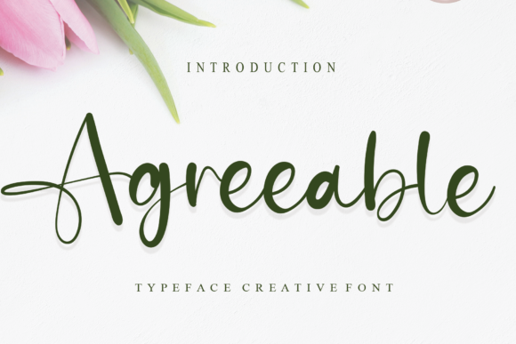 Agreeable Font Poster 1