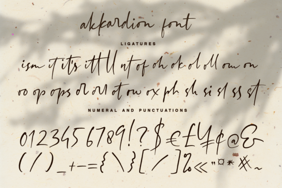Akkardion Font Poster 11