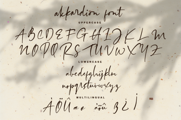 Akkardion Font Poster 9