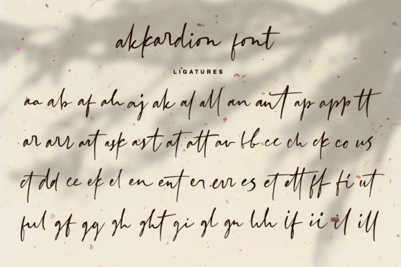 Akkardion Font Poster 10