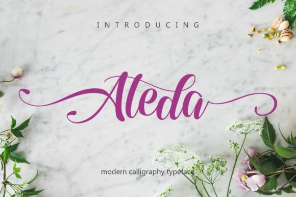 Aleda Font