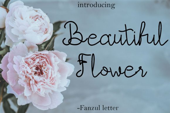 Alefa Font Poster 4