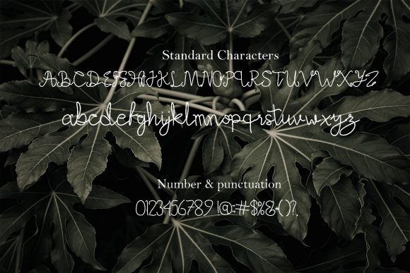 Alefa Font Poster 7