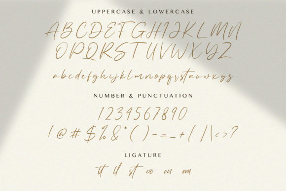 Allezia Sttacy Font Poster 13