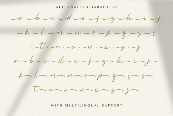 Allezia Sttacy Font Poster 14