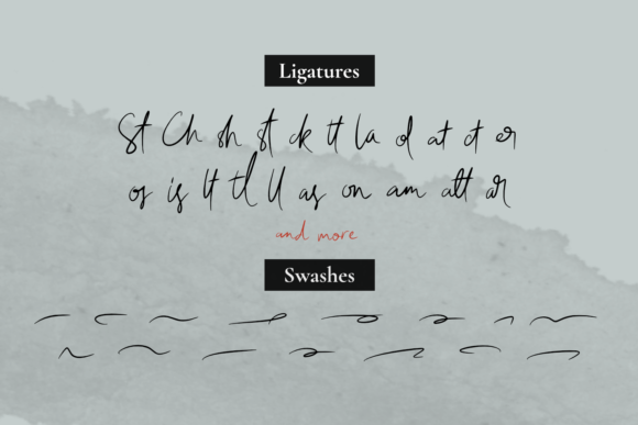 Allissona Font Poster 9