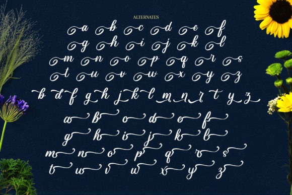 Aloha Olinda Font Poster 17