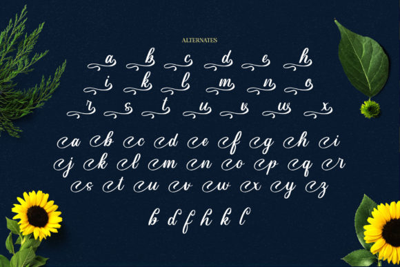 Aloha Olinda Font Poster 18