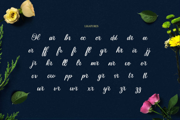Aloha Olinda Font Poster 19