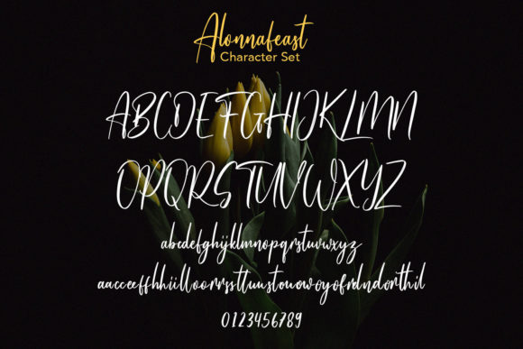 Alonnafeast Font Poster 9