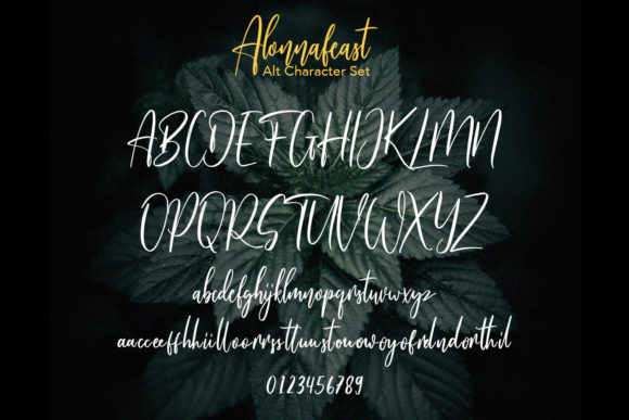 Alonnafeast Font Poster 10