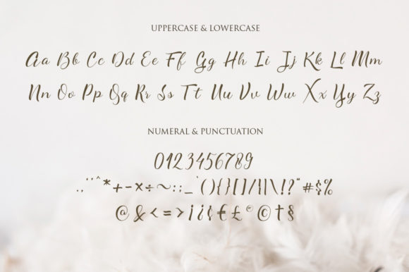 Alyaneta Font Poster 10