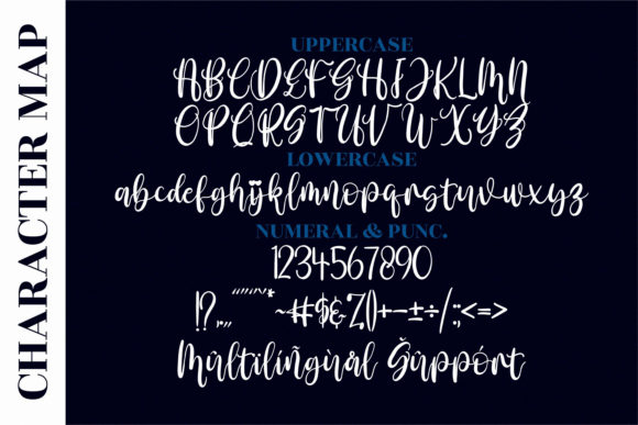 Amalia Nurse Font Poster 12