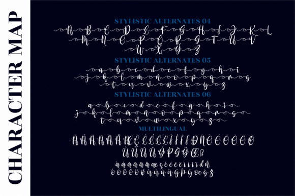 Amalia Nurse Font Poster 14