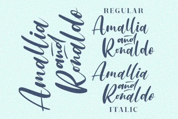 Amallia and Ronaldo Font Poster 3