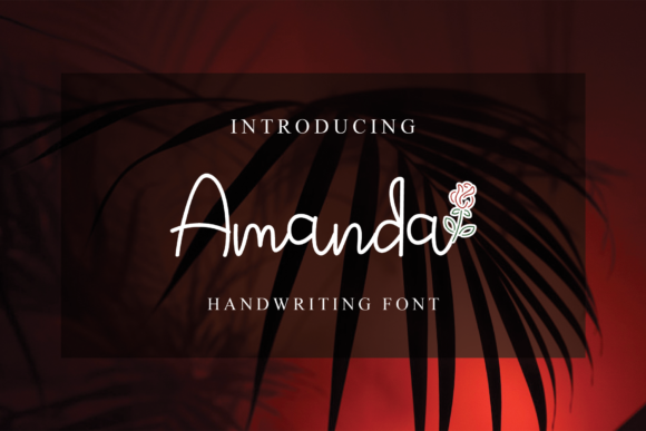 Amanda Font