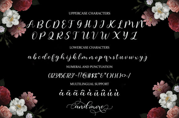 Amanda Font Poster 6