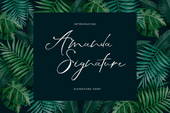 Amanda Signature Font Poster 1