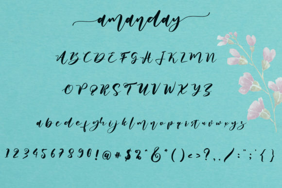 Amanday Font Poster 9