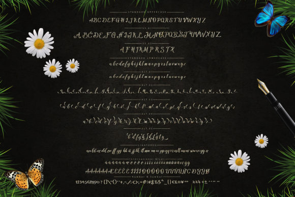 Amandella Font Poster 4