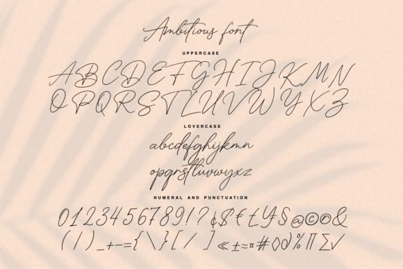 Ambitious Font Poster 13