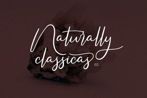 Americans Classy Font Poster 5