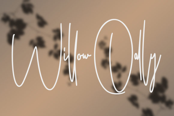 Ameriondela Font Poster 3