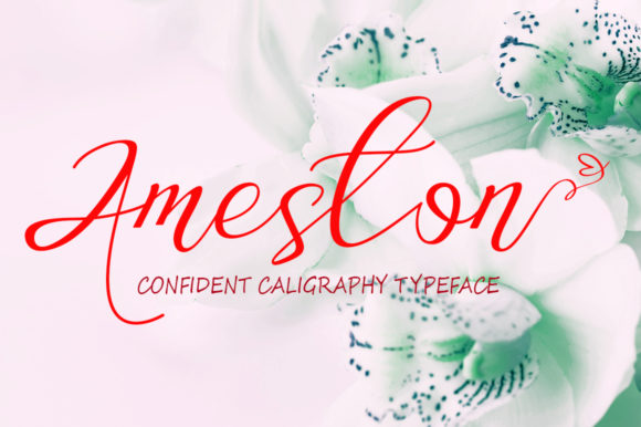 Ameston Font Poster 1