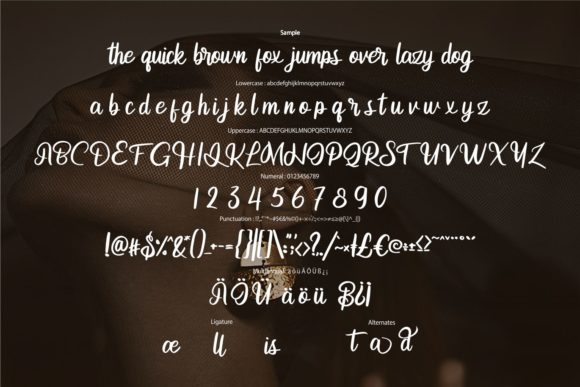 Andetia Font Poster 6