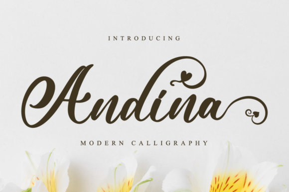 Andina Font Poster 1