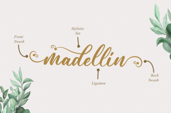Andina Font Poster 12