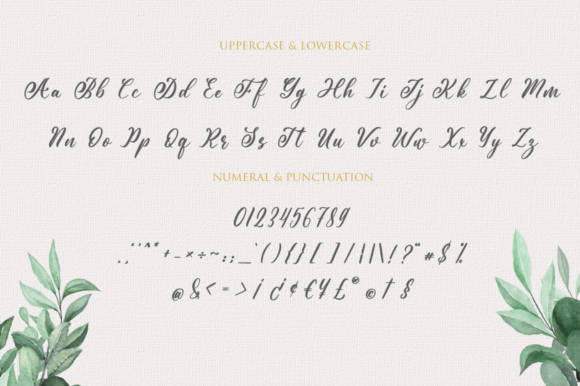 Andina Font Poster 13