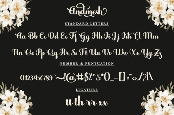 Andmesh Font Poster 6