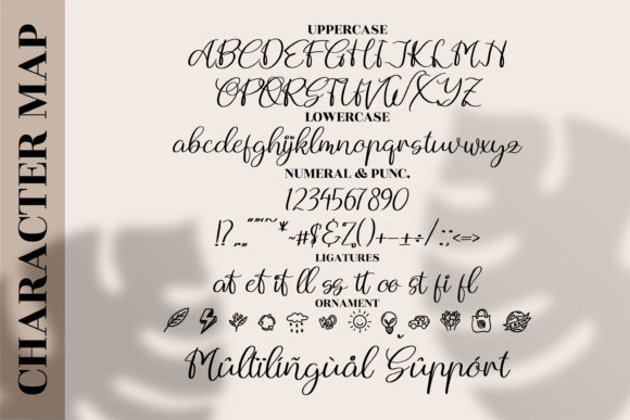 Andytta Selya Font Poster 9