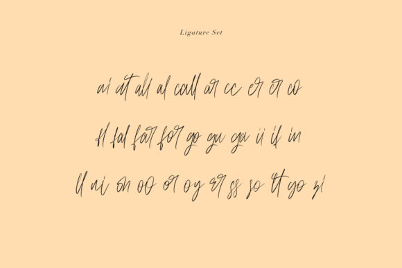 Anestacilla Font Poster 11
