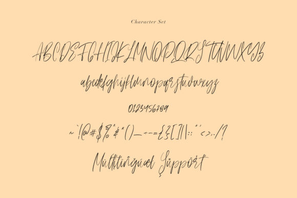 Anestacilla Font Poster 8