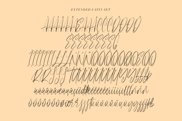 Anestacilla Font Poster 9