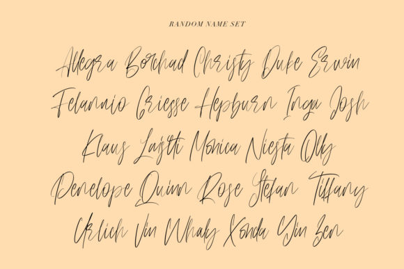 Anestacilla Font Poster 10