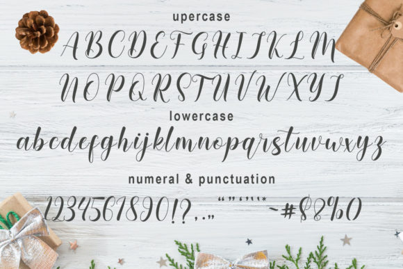 Angelia Font Poster 8