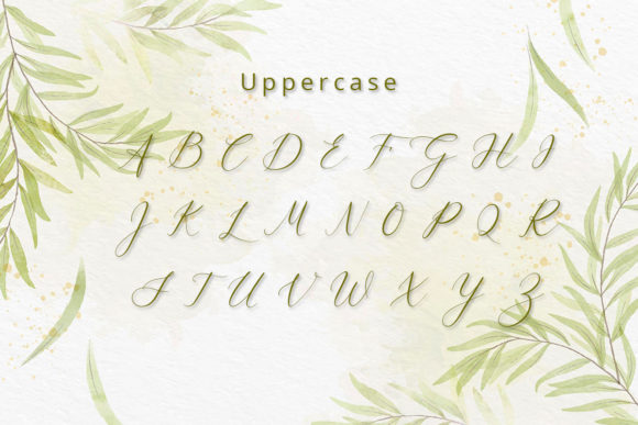 Angelica Font Poster 9