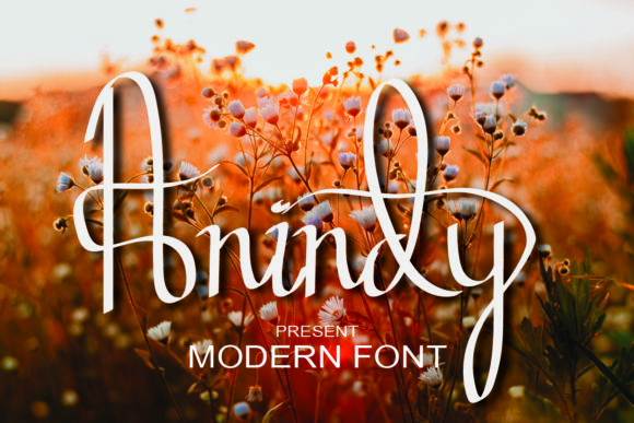 Anindy Font Poster 1